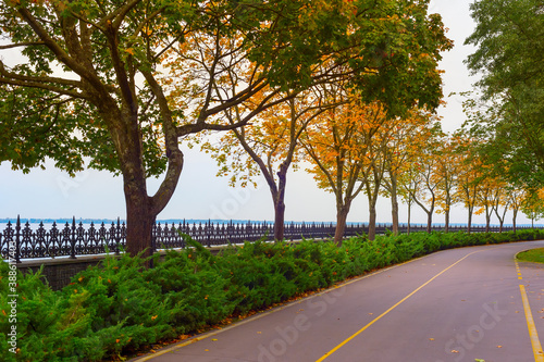 autumn road fall park Mezhy...