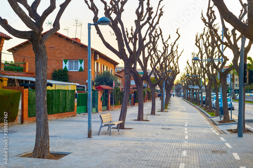 alley tree nobody Barcelona...