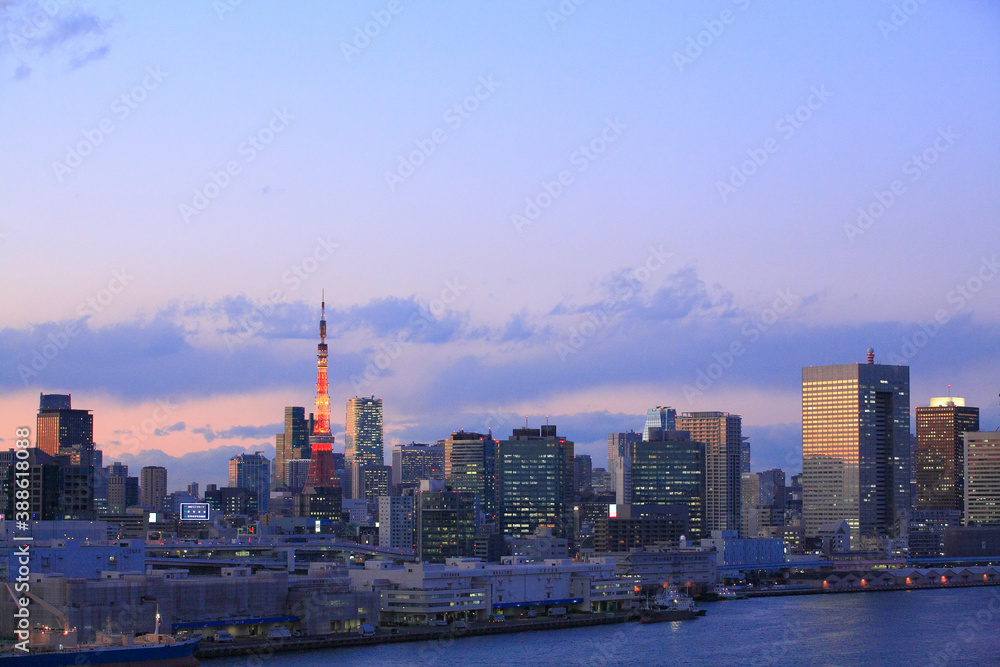 Obraz premium 東京港