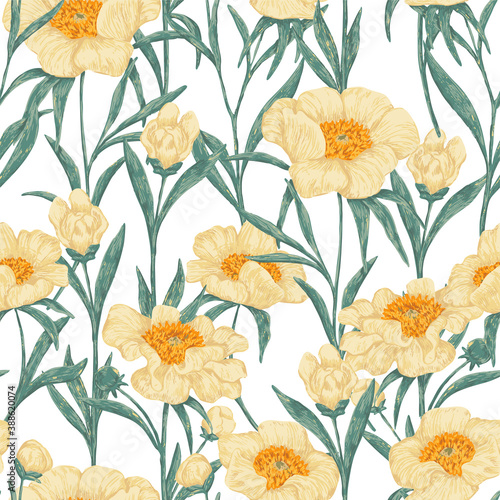 Peony Claire de Lune plants seamless pattern. Hand drawn vector illustration. Realistic botanical background. Wildflowers retro sketch. Colored vintage design  print  fabric  textile  wrap  wallpaper.