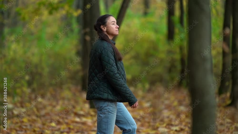 adult brunette lady is walking alone in picturesque autumn forest, calm and inspiring strolling at nature adult brunette lady is walking alone in picturesque autumn forest, calm and inspiring strolling at nature