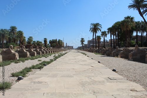 Procession of Sphinxes in front of Luxor Temple