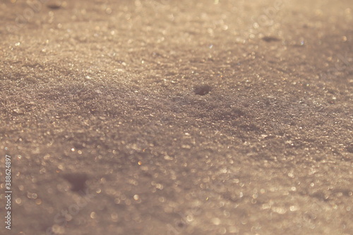 Wallpaper Mural Sparkling snow with warm sunlight for background. Torontodigital.ca