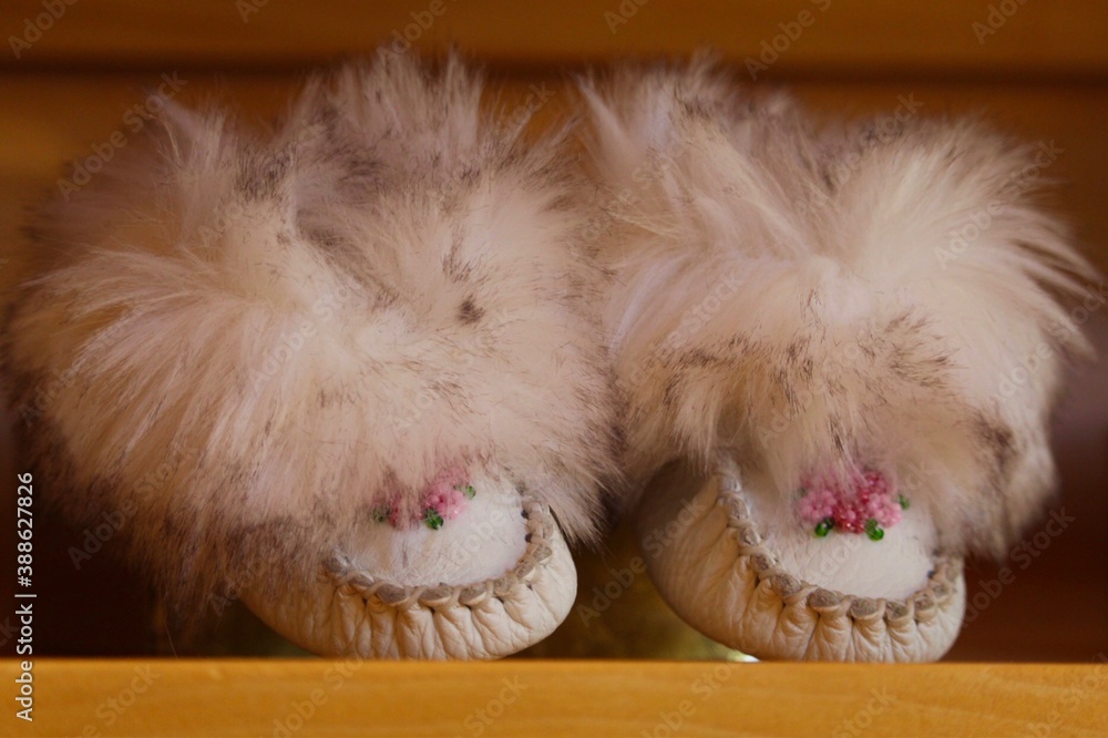 Obraz premium tiny moccasins