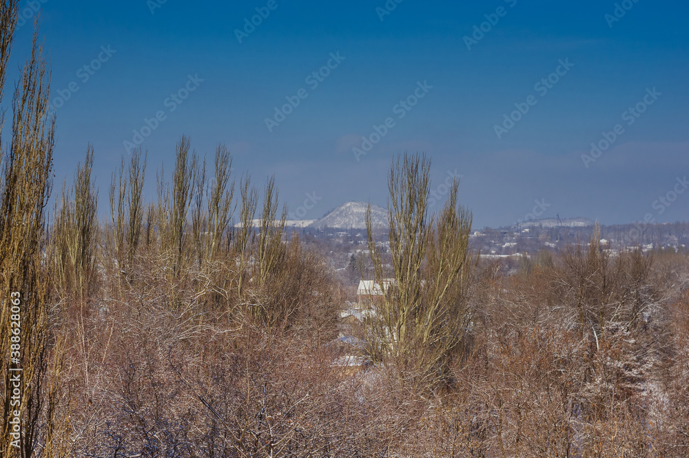 Winter urban frosty landscape - snow covered trees on foggy background Winter urban frosty landscape - snow covered trees on foggy background