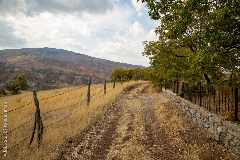 country road in autumn