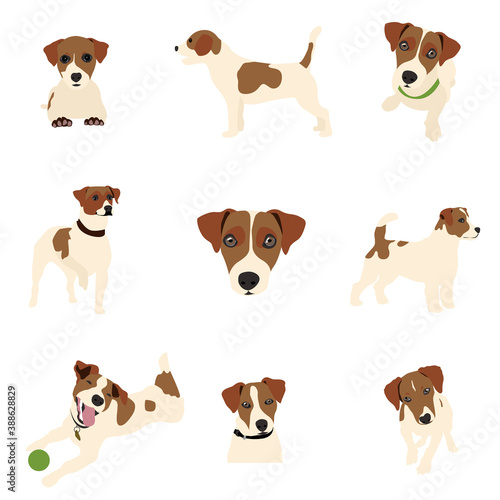 Vector illustration. The canvas depicts a dog of the Jack Russell breed in different poses. Milky colors, cute smile of a dog.