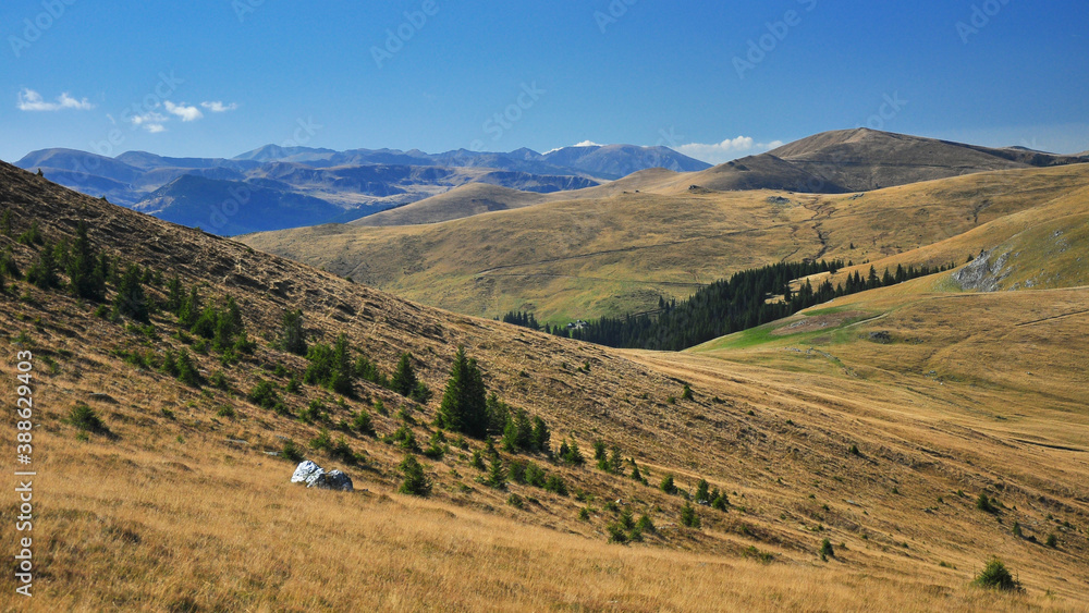 Autumn landscape with the wild alpine grasslands of Capatanii Mountains . Carpathia, Romania