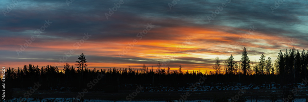 Panorama on spectacular extremely red orange colored sunrise over the Scandinavian pine tree forest, totally calm weather, forest silhouette on horizon line, frosty winter morning. Northern Sweden