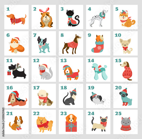 Fototapeta Naklejka Na Ścianę i Meble -  Christmas advent calendar with dogs. Funny Xmas poster with puppies, dogs wearing winter clothes, Christmas accessories 