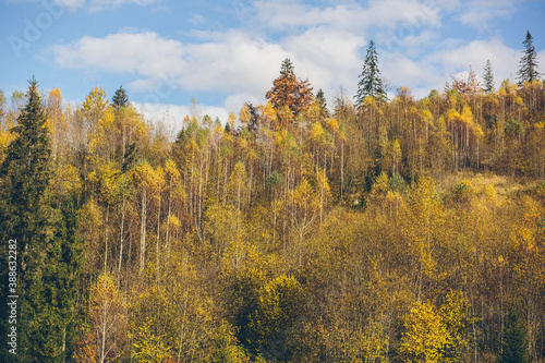 landscape photography, autumn forest and mountains, sunny day