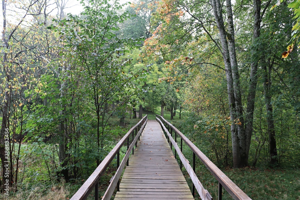 Narrow wooden footbridge over a not wide river during the day in early autumn. Narrow wooden footbridge over a not wide river during the day in early autumn.