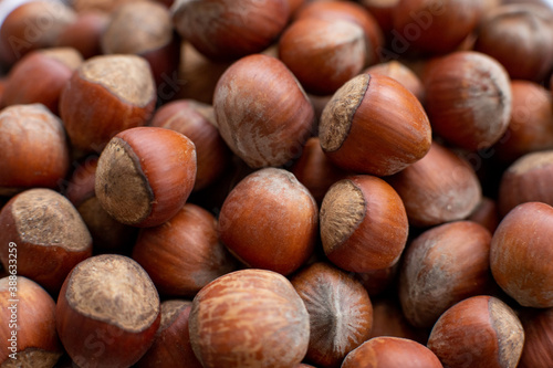 fresh hazelnut in shell, close up