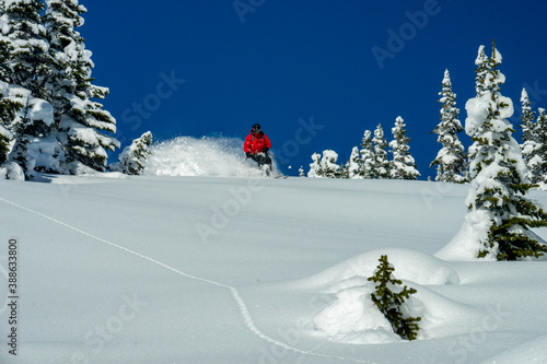 A heli ski guide skis fresh powder. photo