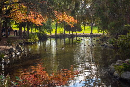 Late October @ Point Defiance Park, Tacoma