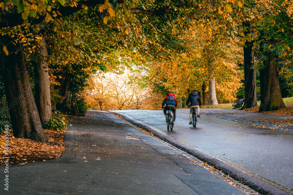 Fototapeta premium Two cycling commuters through Greenwich Park