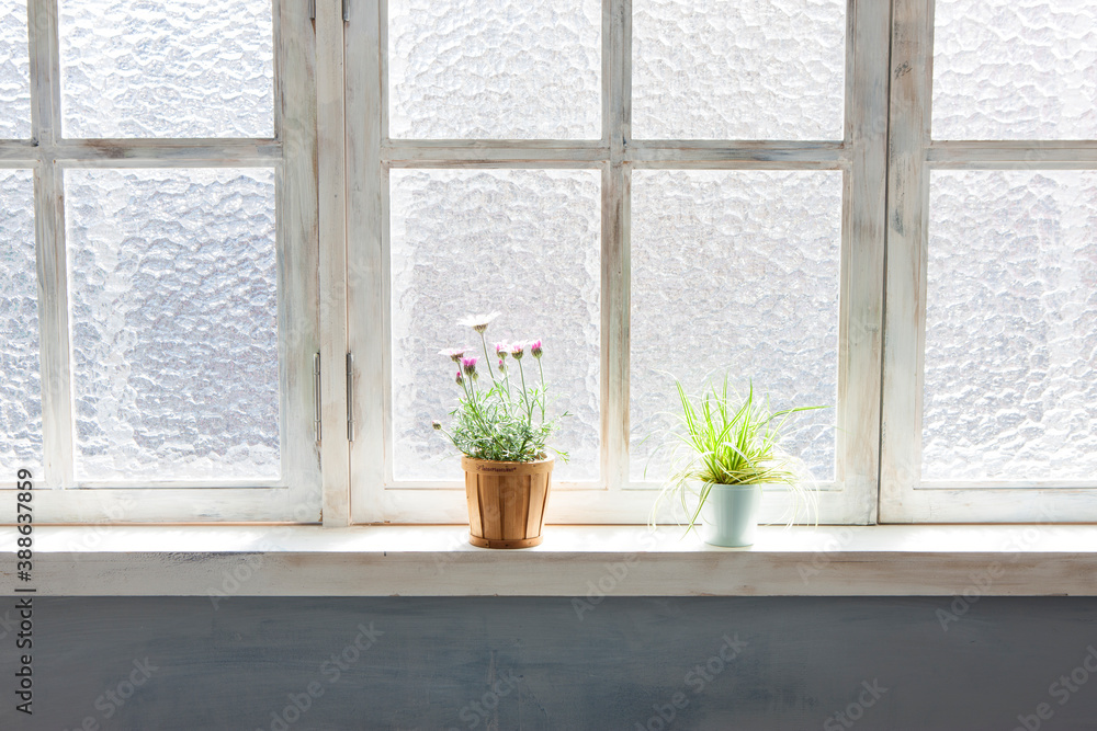 Fototapeta premium 窓辺に置かれた観葉植物