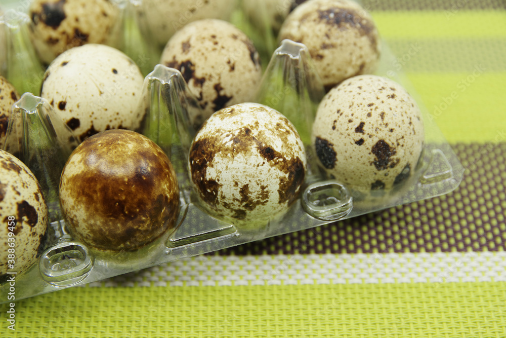 Obraz premium Quail eggs in a plastic box. Close-up view