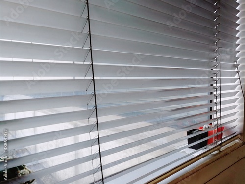 View of blind glass window decoration with mini cactus