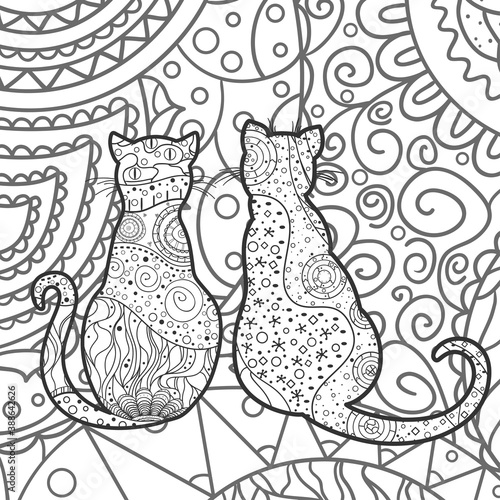 Photography Square intricate background