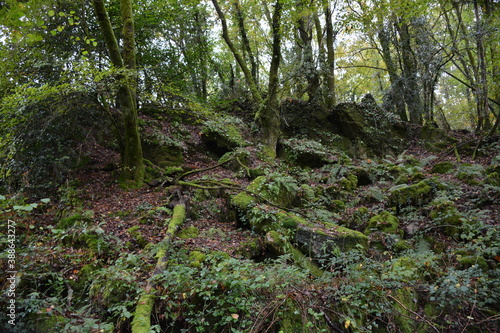 Orvault - Ville verte - La vallée du Cens