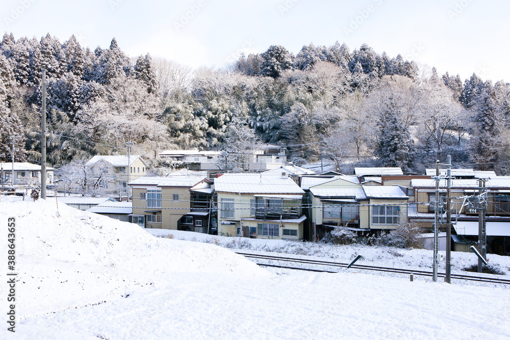 Fototapeta premium 雪の降り積もる平泉町