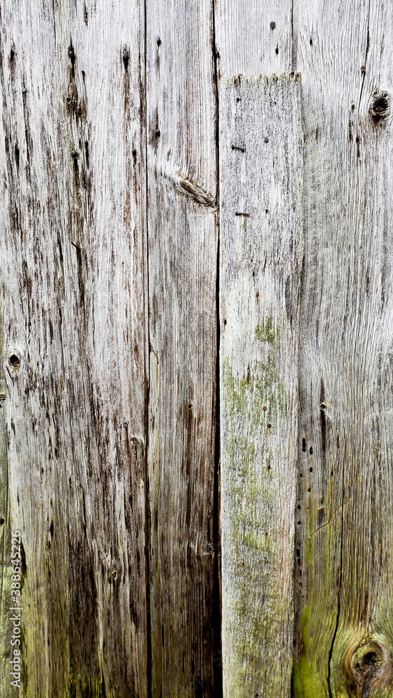 Fototapeta premium background from old boards