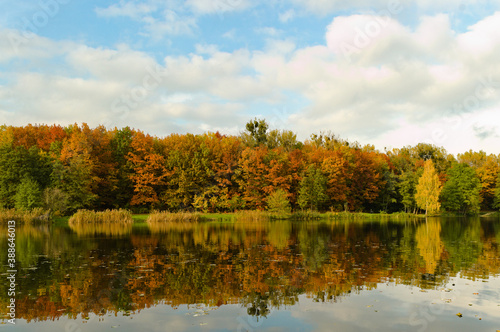 jesienny las nad jeziorem