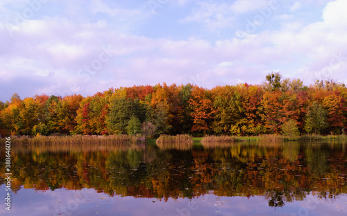 kolorowy jesienny las nad wodą