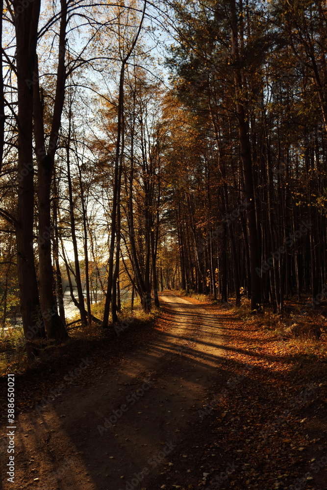 Naklejka premium October road