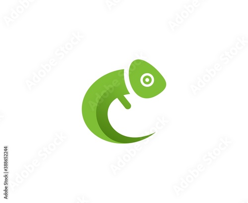 Chameleon logo
