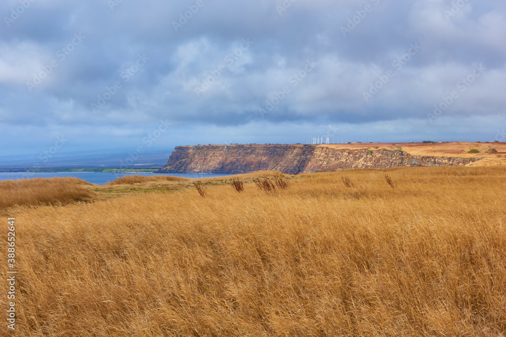 Dry grass and cliff in KaLae South Point, Naalehu, HI Dry grass and cliff in KaLae South Point, Naalehu, HI