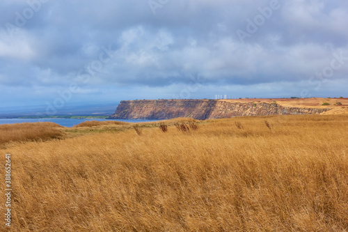 Dry grass and cliff in KaLae South Point  Naalehu  HI