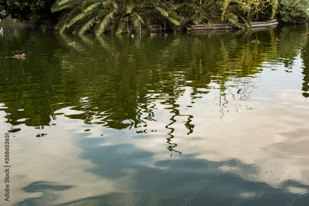 Lago de Chapultepec Ciudad de México Lago de Chapultepec Ciudad de México