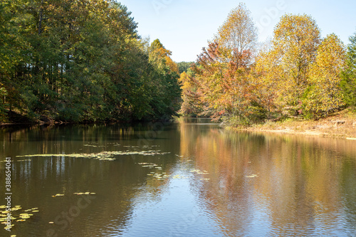 autumn trees reflected in water