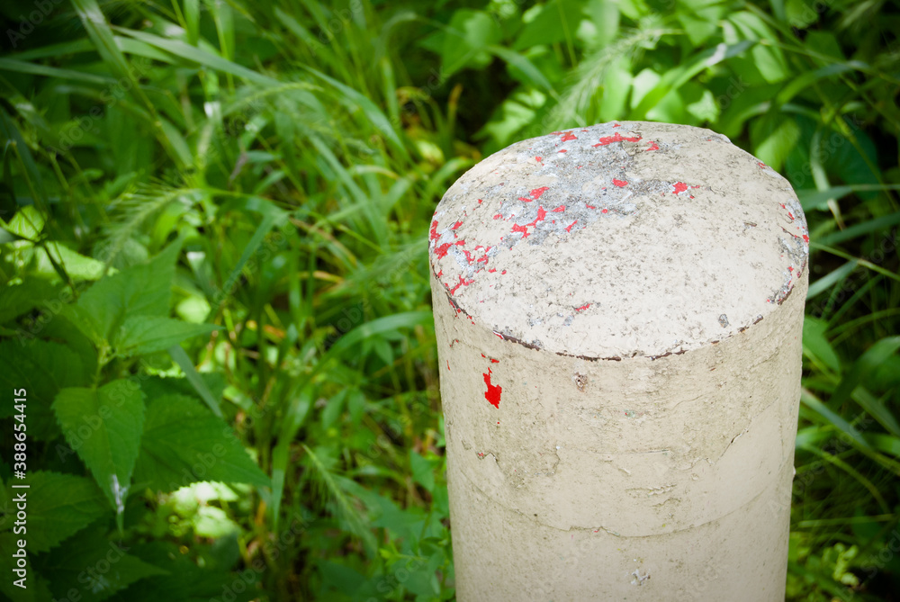 Naklejka premium cement column in woods
