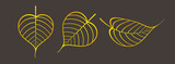 golden pho leaf graphic, pho leaves gold color, pho leaf art line for buddhist symbols