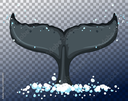 Blue whale tale in water on transparent background