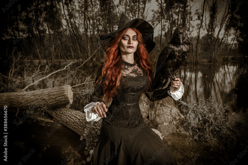 redhead witch with raven redhead witch with raven