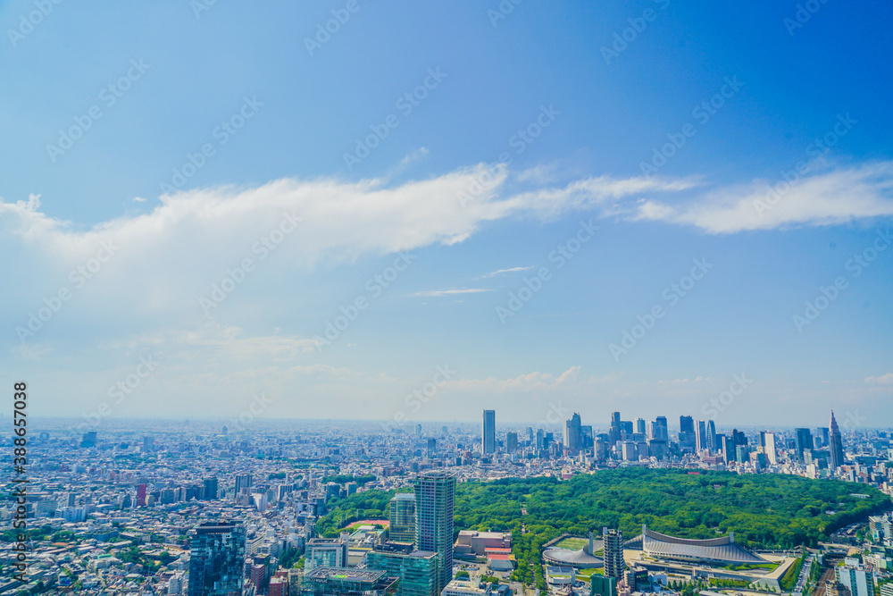 Fototapeta premium 渋谷スカイから見える東京の街並み