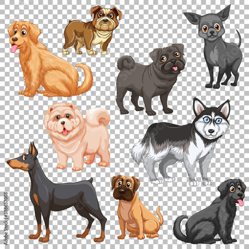 Set of different dogs isolated © GraphicsRF
