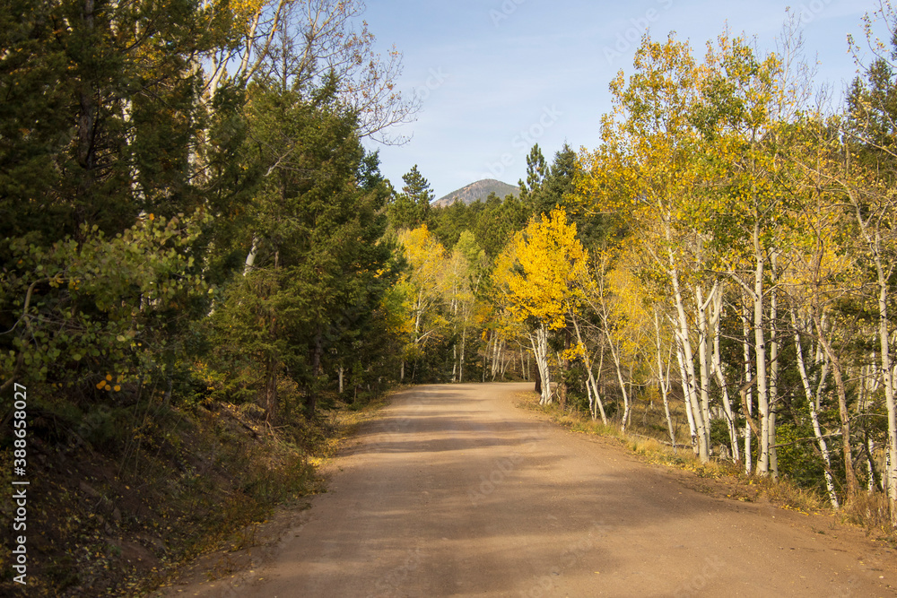 Obraz premium Fall 2020 along Marshall Pass