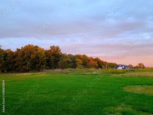 Pink and Blue Sunset over wooded field