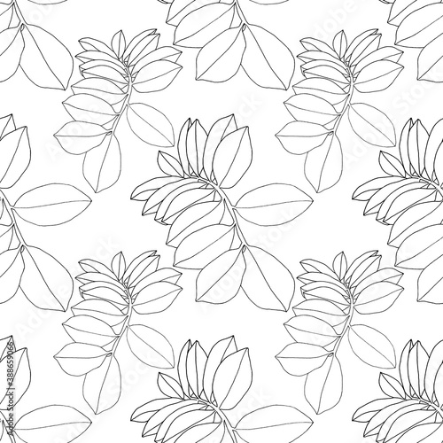Seamless pattern line art branch with leaves on white. Art creative nature black background for coloring book, wrapping, textile, wallpaper, sticker © NatashaKun