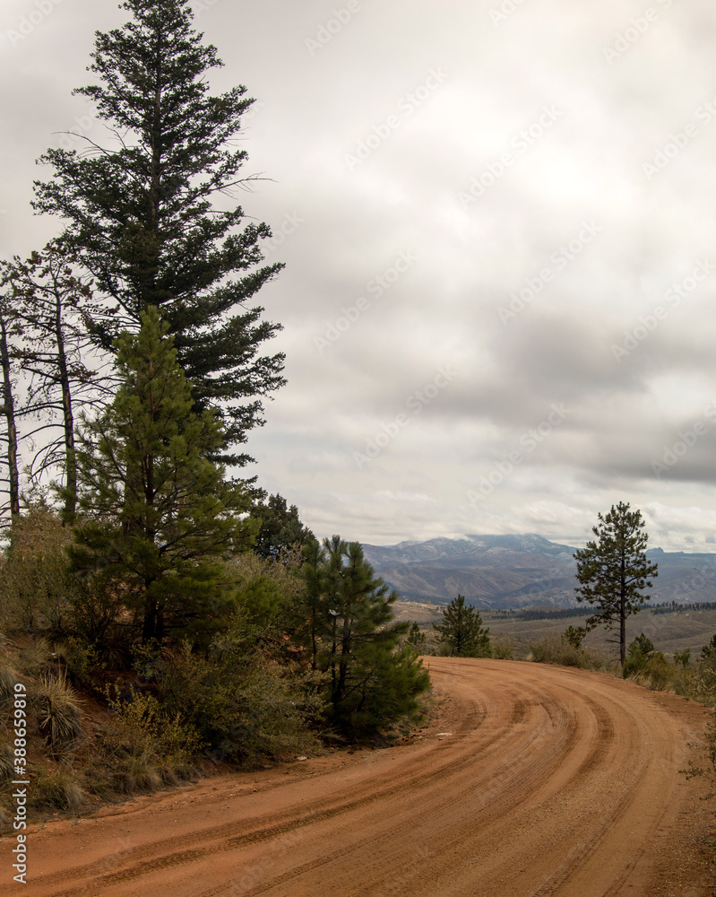 Fototapeta premium Buffalo Creek Fall 2020