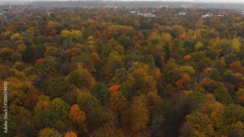 Autumn oak park in Kaunas, aerial tilt down rising. photo