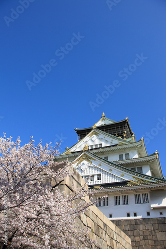 大阪城の天守閣と桜