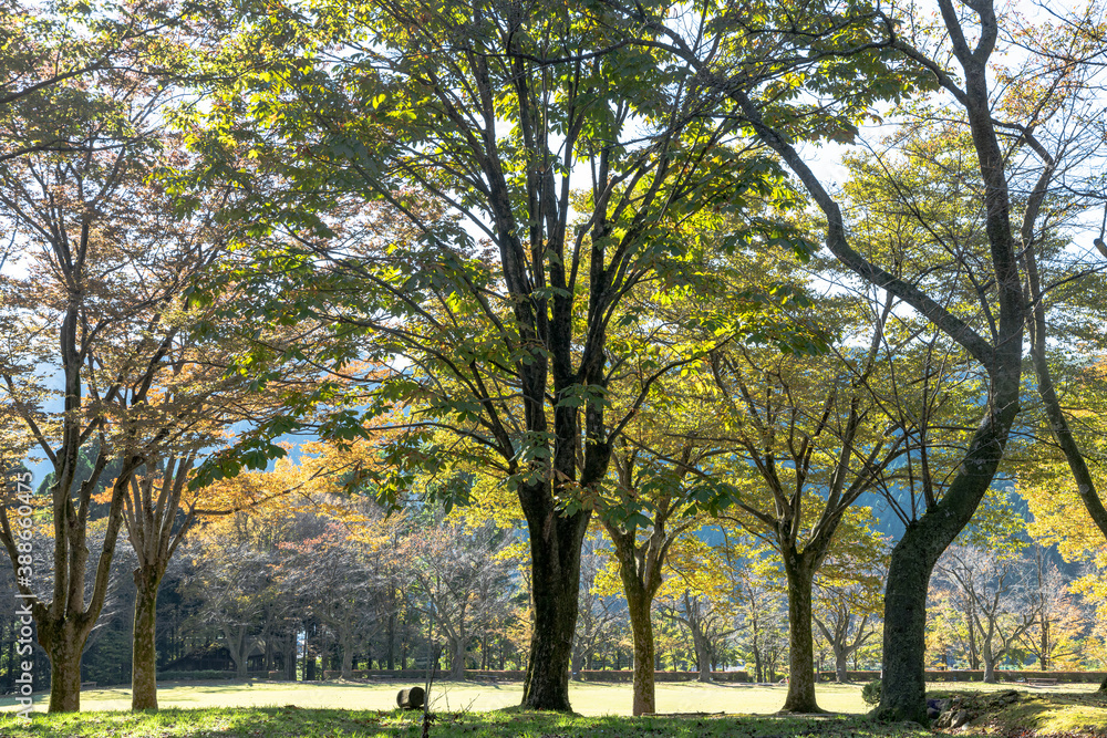 樹木公園の風景