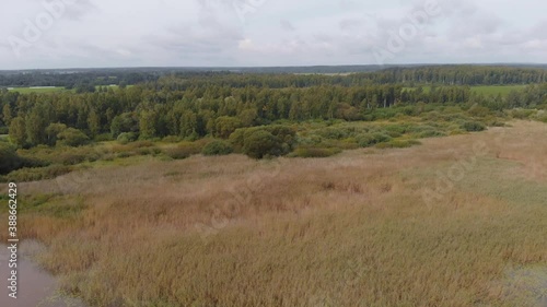 Afforestation Vortsjarv Estonia Europe aerial drone photo