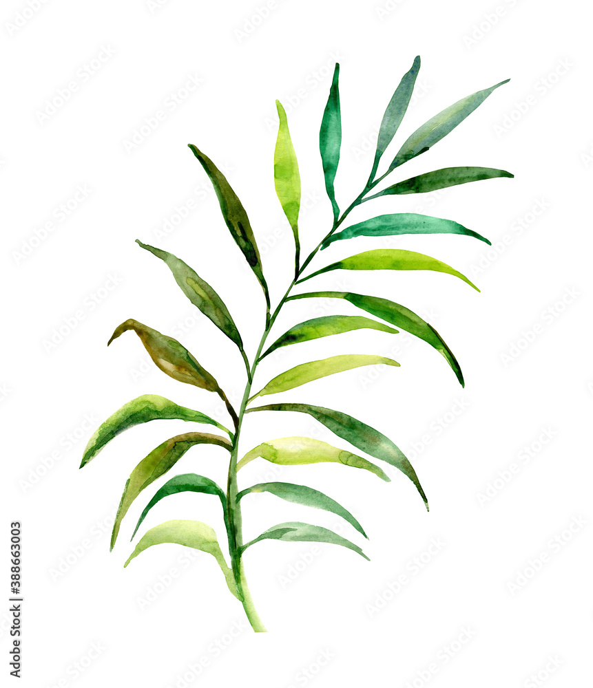 Pattern of autumn tree branches.Image on white and colored background Pattern of autumn tree branches.Image on white and colored background